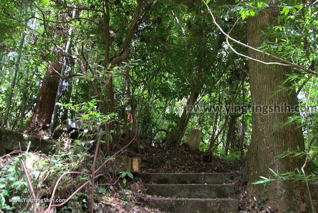 YTS_YTS_20180812_Japan Kyushu Kumamoto Aso Manganji日本九州熊本阿蘇滿願寺／滿山神社／金毘羅杉102_3A5A1240.jpg