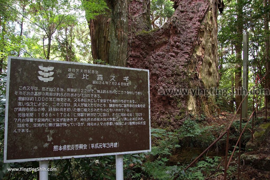 YTS_YTS_20180812_Japan Kyushu Kumamoto Aso Manganji日本九州熊本阿蘇滿願寺／滿山神社／金毘羅杉112_3A5A1379.jpg