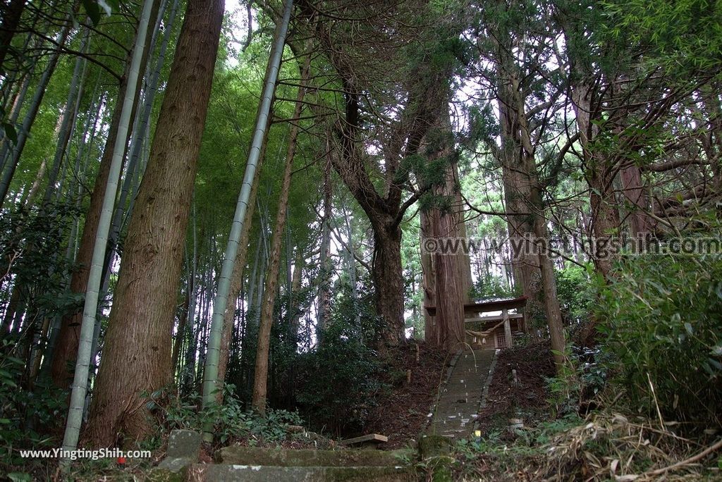 YTS_YTS_20180812_Japan Kyushu Kumamoto Aso Manganji日本九州熊本阿蘇滿願寺／滿山神社／金毘羅杉130_3A5A9605.jpg