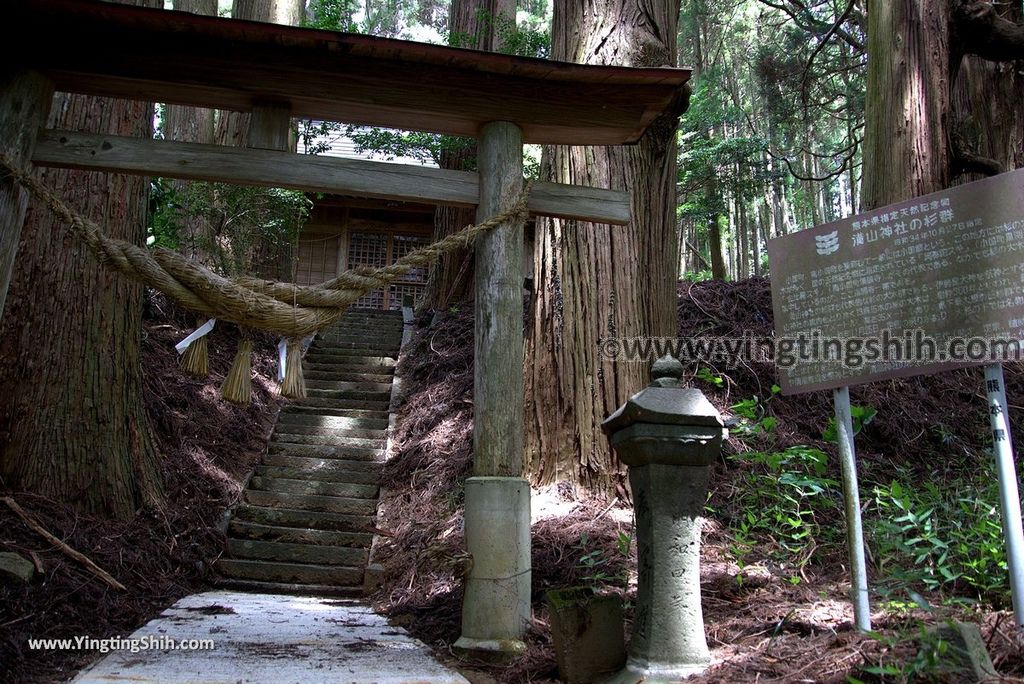 YTS_YTS_20180812_Japan Kyushu Kumamoto Aso Manganji日本九州熊本阿蘇滿願寺／滿山神社／金毘羅杉134_3A5A0550.jpg