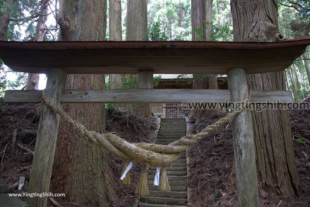 YTS_YTS_20180812_Japan Kyushu Kumamoto Aso Manganji日本九州熊本阿蘇滿願寺／滿山神社／金毘羅杉137_3A5A0561.jpg