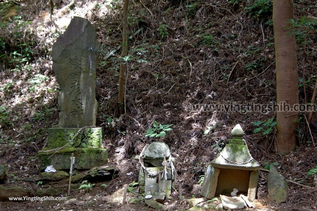 YTS_YTS_20180812_Japan Kyushu Kumamoto Aso Manganji日本九州熊本阿蘇滿願寺／滿山神社／金毘羅杉143_3A5A0653.jpg