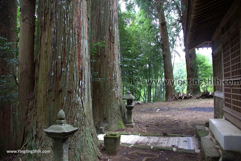 YTS_YTS_20180812_Japan Kyushu Kumamoto Aso Manganji日本九州熊本阿蘇滿願寺／滿山神社／金毘羅杉145_3A5A0677.jpg