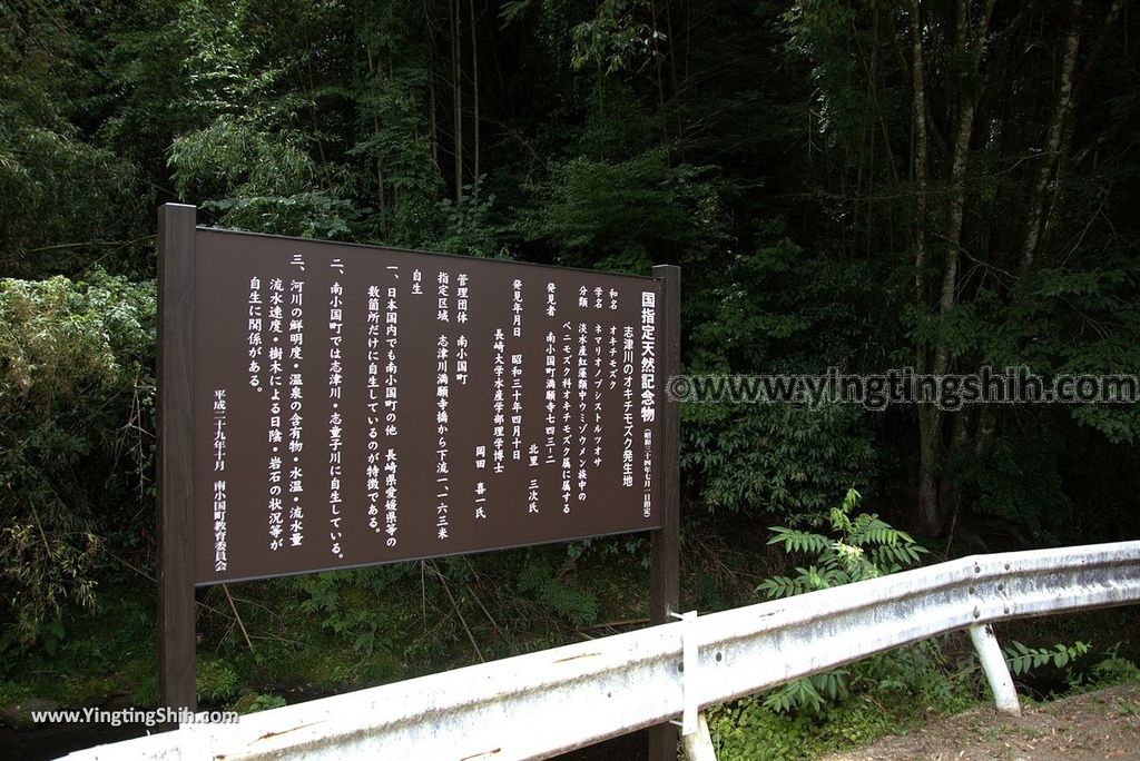 YTS_YTS_20180812_Japan Kyushu Kumamoto Aso Manganji日本九州熊本阿蘇滿願寺／滿山神社／金毘羅杉157_3A5A0963.jpg