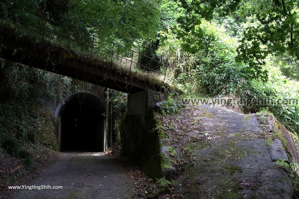 YTS_YTS_20180812_Japan Kyushu Kumamoto Aso Manganji日本九州熊本阿蘇滿願寺／滿山神社／金毘羅杉159_3A5A0975.jpg