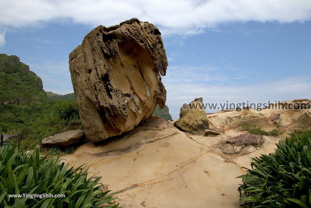 YTS_YTS_20180901_新北瑞芳南雅奇石New Taipei Ruifang Nanya Rock006_3A5A9759.jpg