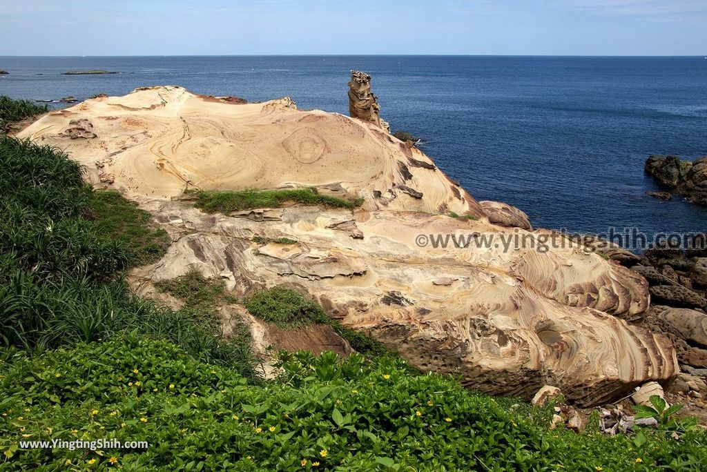 YTS_YTS_20180901_新北瑞芳南雅奇石New Taipei Ruifang Nanya Rock085_3A5A2429.jpg