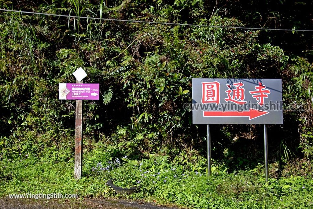 YTS_YTS_20180311_宜蘭頭城圓通寺／鵲子山步道口／跑馬古道口Yilan Toucheng Yuantong Temple003_3A5A3666.jpg