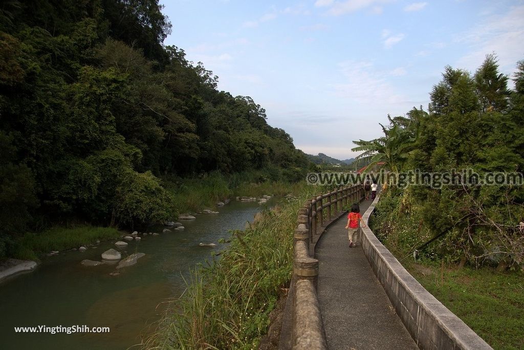 YTS_YTS_20181010_苗栗獅潭義民廟／河濱公園／觀魚步道／仙山仙草Miaoli Shitan Shitan Riverside Park157_3A5A9002.jpg