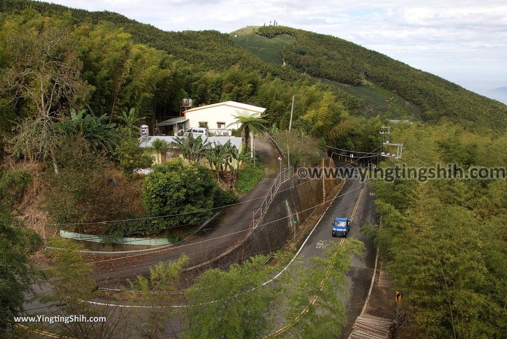 YTS_YTS_20181013_南投竹山觀竹海樓／大鞍竹海／孟宗竹蔭隧道Nantou Zhushan Bamboo Forest002_3A5A4678.jpg