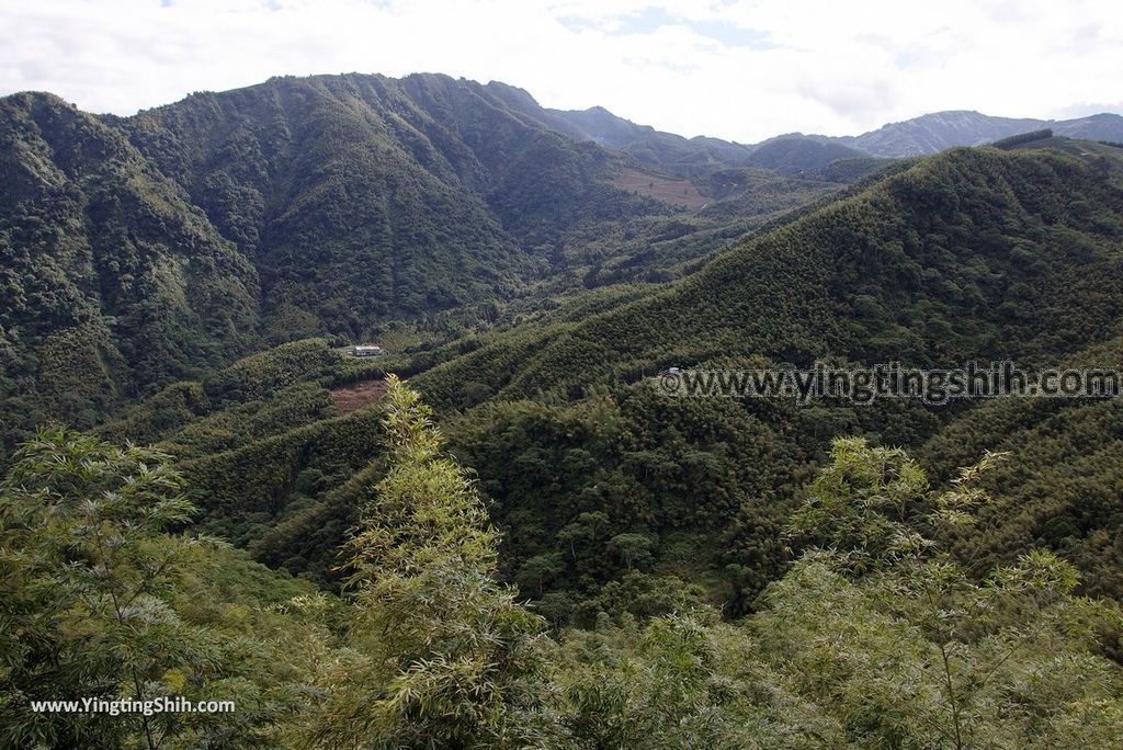 YTS_YTS_20181013_南投竹山觀竹海樓／大鞍竹海／孟宗竹蔭隧道Nantou Zhushan Bamboo Forest023_3A5A4602.jpg