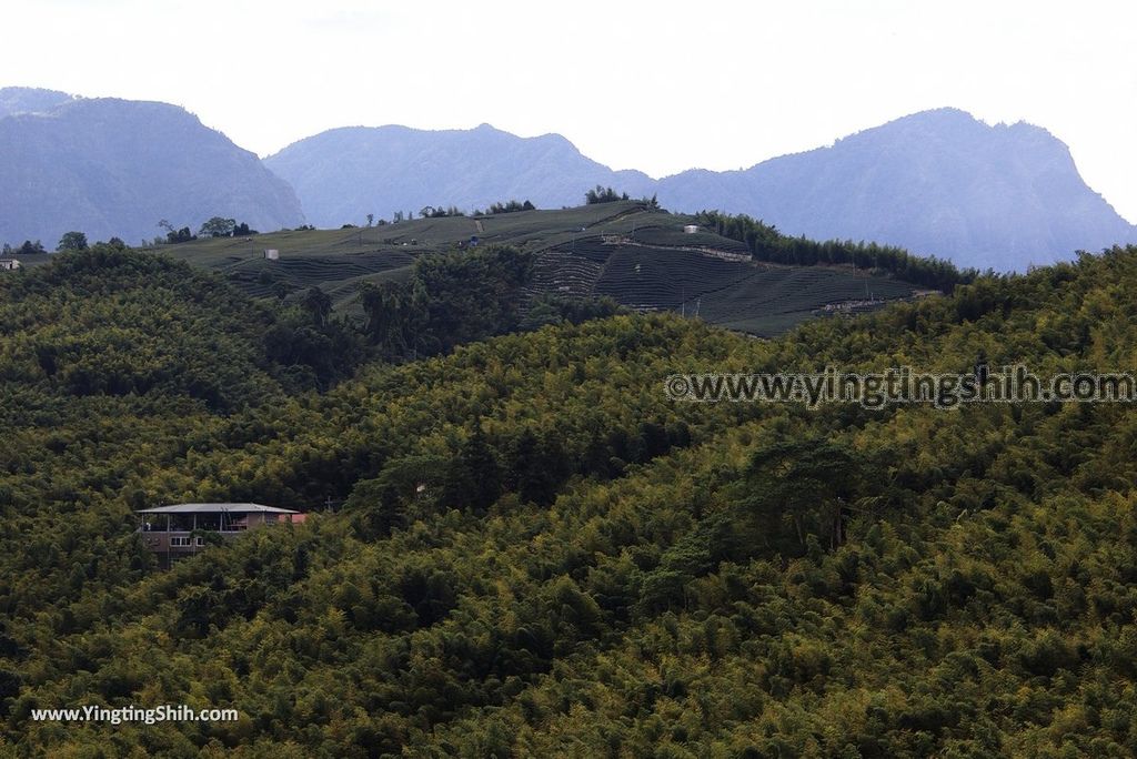 YTS_YTS_20181013_南投竹山觀竹海樓／大鞍竹海／孟宗竹蔭隧道Nantou Zhushan Bamboo Forest024_3A5A4485.jpg