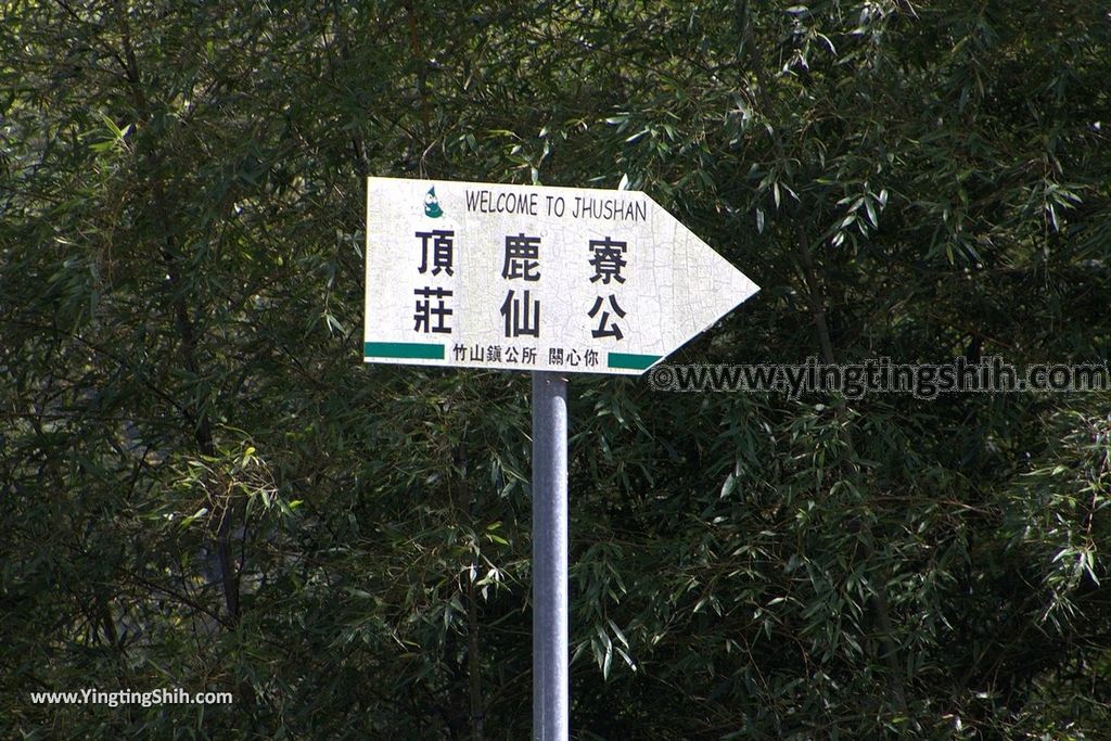 YTS_YTS_20181013_南投竹山觀竹海樓／大鞍竹海／孟宗竹蔭隧道Nantou Zhushan Bamboo Forest035_3A5A4829.jpg