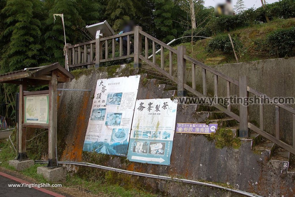 YTS_YTS_20181013_南投鹿谷大崙山瞭望平台步道／銀杏森林／樟空倫山Nantou Lugu Dalunshan Tea Garden Ginkgo Forest121_3A5A8797.jpg