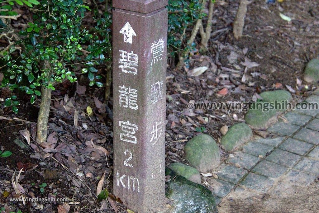 YTS_YTS_20181020_新北鶯歌鶯歌石登山步道New Taipei Yingge Yingge Rock Hiking Trail034_3A5A3864.jpg