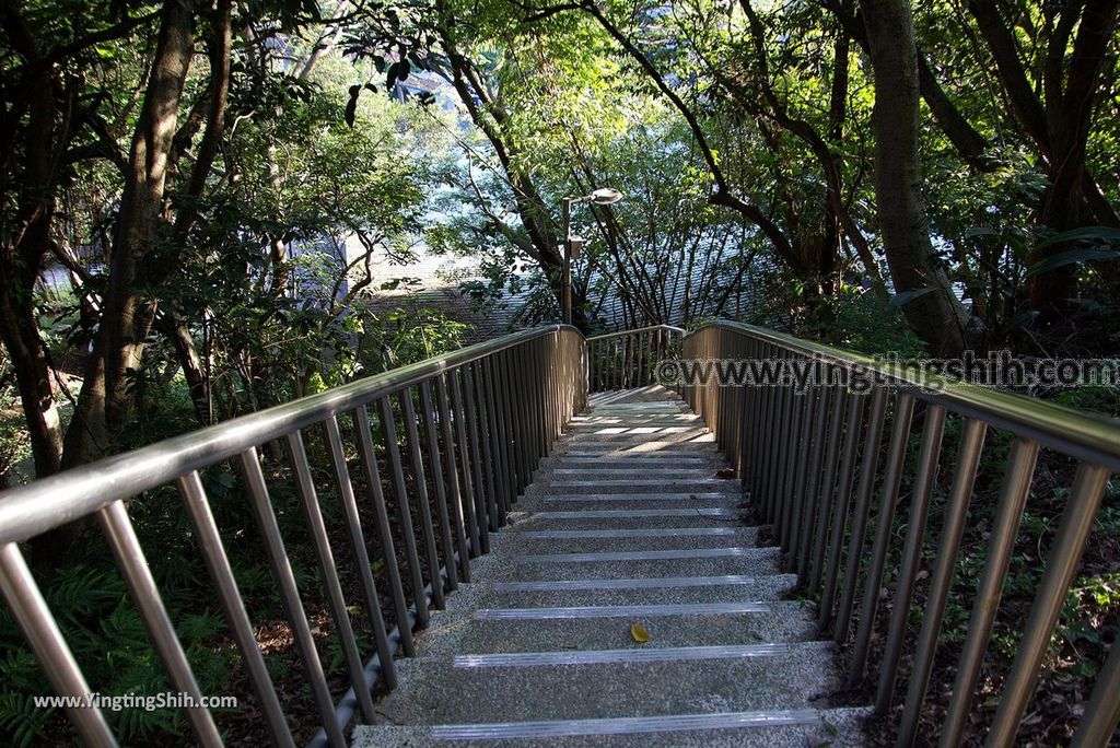 YTS_YTS_20181020_新北鶯歌鶯歌石登山步道New Taipei Yingge Yingge Rock Hiking Trail040_3A5A3917.jpg