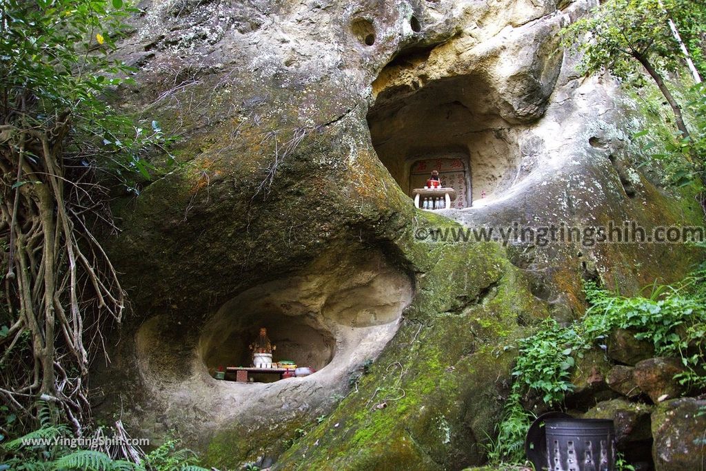 YTS_YTS_20181020_新北鶯歌鶯歌石登山步道New Taipei Yingge Yingge Rock Hiking Trail068_3A5A4127.jpg