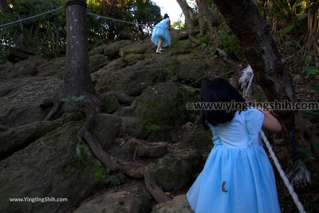 YTS_YTS_20181020_新北鶯歌鶯歌石登山步道New Taipei Yingge Yingge Rock Hiking Trail097_3A5A4515.jpg