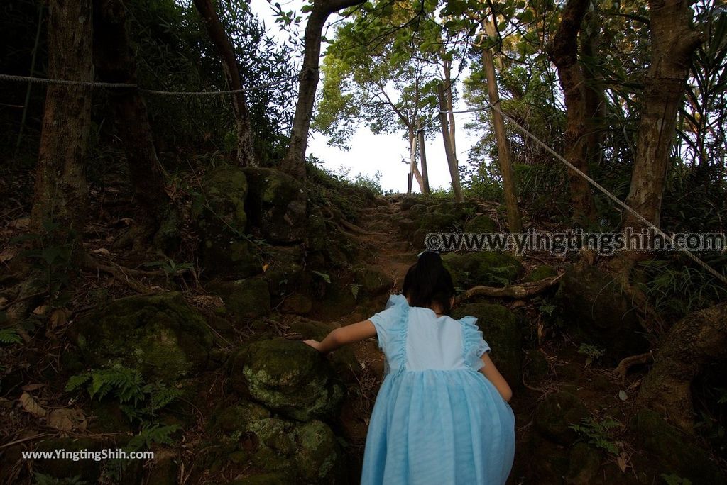 YTS_YTS_20181020_新北鶯歌鶯歌石登山步道New Taipei Yingge Yingge Rock Hiking Trail102_3A5A4545.jpg