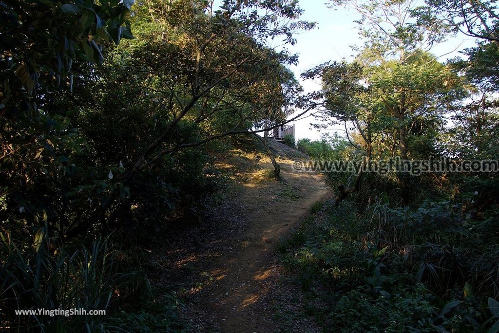 YTS_YTS_20181020_新北鶯歌鶯歌石登山步道New Taipei Yingge Yingge Rock Hiking Trail107_3A5A4558.jpg