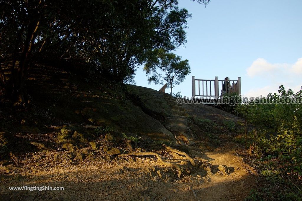 YTS_YTS_20181020_新北鶯歌鶯歌石登山步道New Taipei Yingge Yingge Rock Hiking Trail108_3A5A4568.jpg