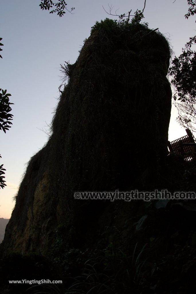 YTS_YTS_20181020_新北鶯歌鶯歌石登山步道New Taipei Yingge Yingge Rock Hiking Trail126_3A5A4990.jpg