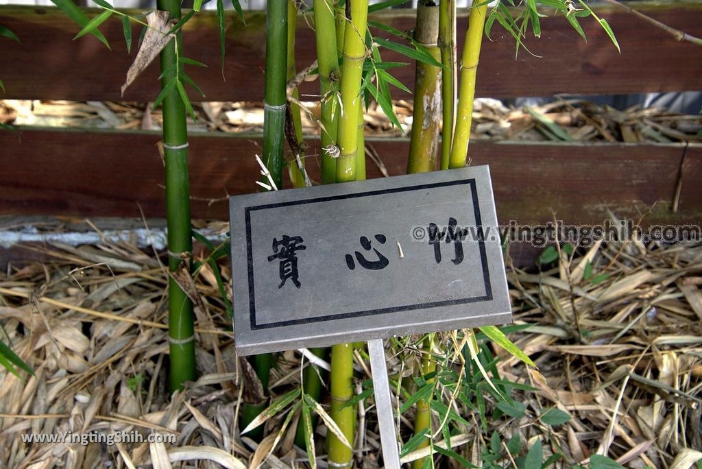 YTS_YTS_20180225_南投竹山竹子園／新寶順茶寶石文化園Nantou Zhushan Bamboo Garden010_3A5A7851.jpg