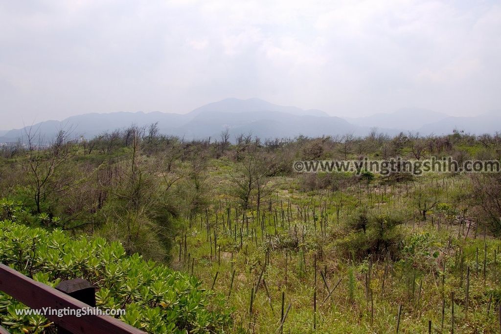 YTS_YTS_20180422_新北金山中角沙珠灣／沖浪天堂／金山萬里自行車道New Taipei Jinshan Shazhu Bay／Surf Paradise042_3A5A7223.jpg