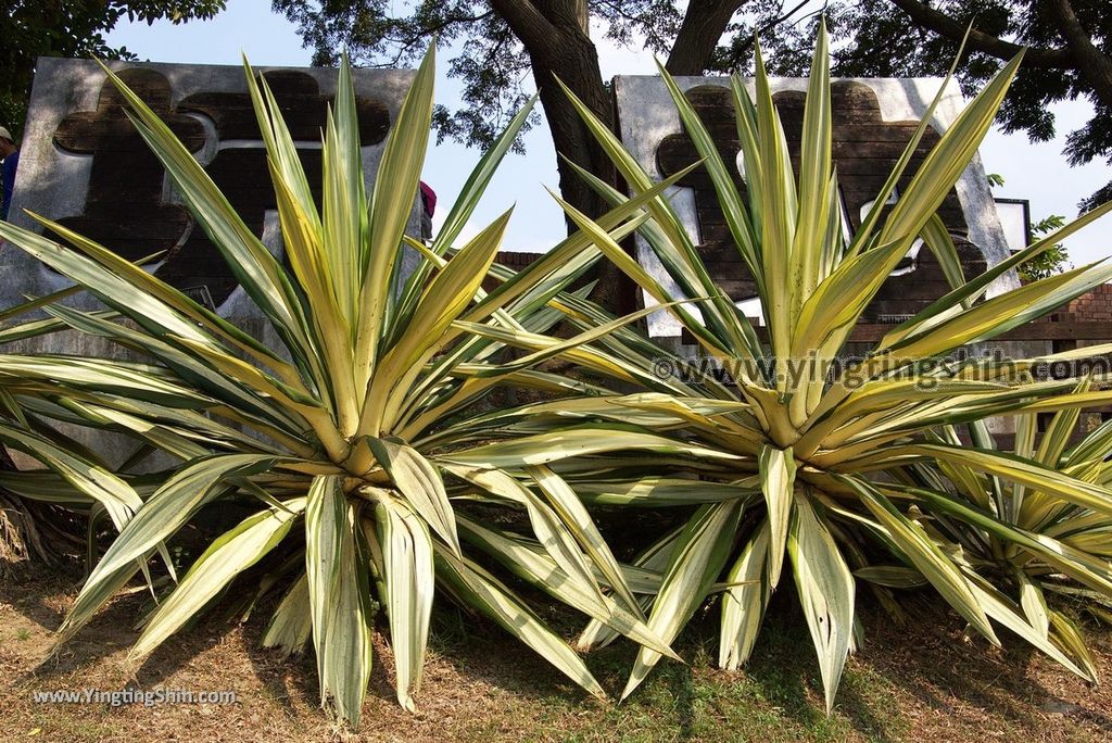 YTS_YTS_20181006_台中北屯大坑和平里921地震公園Taichung Beitun Dakeng 921 Earthquake Park011_3A5A2082.jpg