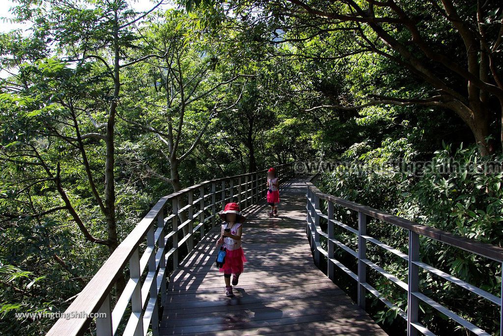 YTS_YTS_20180930_新北五股觀音山生態園區／林梢步道／楞嚴閣New Taipei Guanyinshan Ecological Park032_3A5A4892.jpg