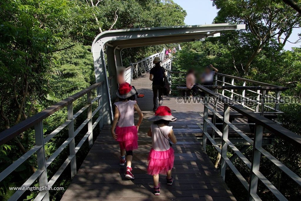 YTS_YTS_20180930_新北五股觀音山生態園區／林梢步道／楞嚴閣New Taipei Guanyinshan Ecological Park035_3A5A4896.jpg