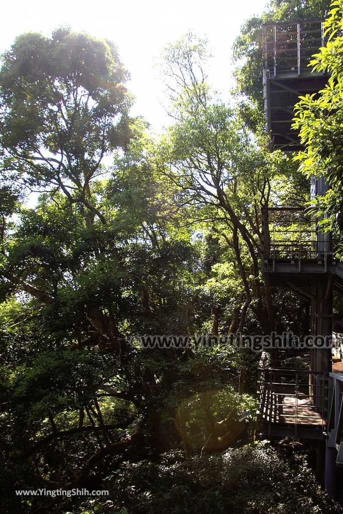 YTS_YTS_20180930_新北五股觀音山生態園區／林梢步道／楞嚴閣New Taipei Guanyinshan Ecological Park045_3A5A5072.jpg