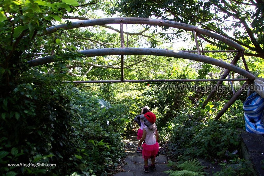 YTS_YTS_20180930_新北五股觀音山生態園區／林梢步道／楞嚴閣New Taipei Guanyinshan Ecological Park072_3A5A5303.jpg