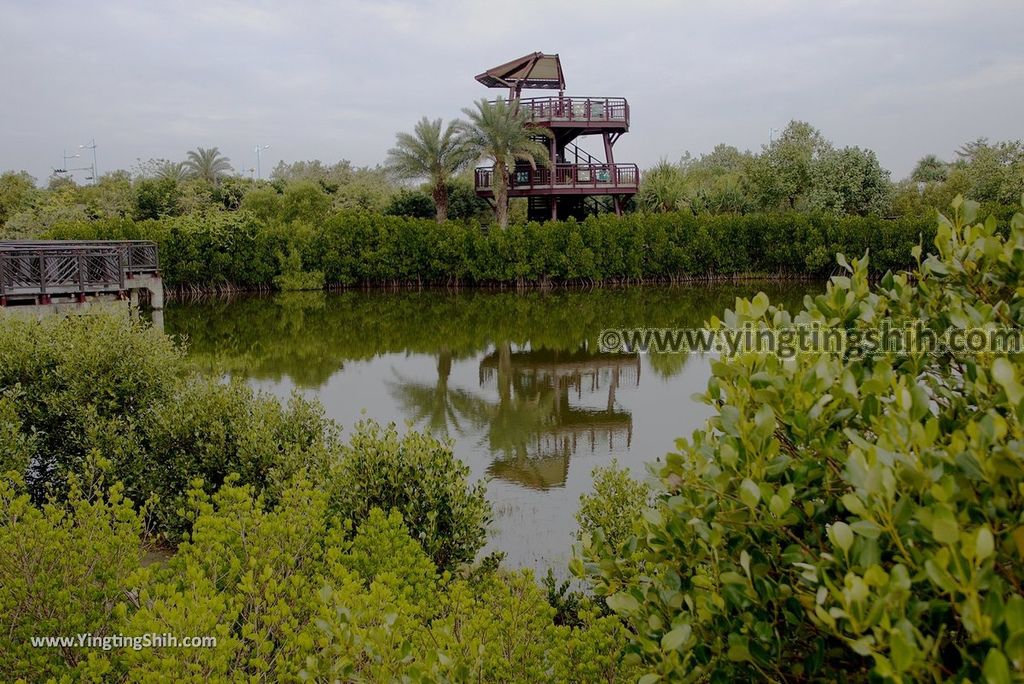 YTS_YTS_20180209_屏東林邊崎峰濕地／崎峰社區活動中心Pingtung Linbian Qifeng Wetlands042_3A5A8822.jpg