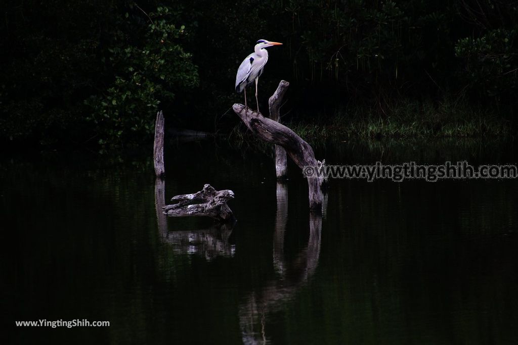 YTS_YTS_20180209_屏東林邊崎峰濕地／崎峰社區活動中心Pingtung Linbian Qifeng Wetlands046_3A5A8940.jpg