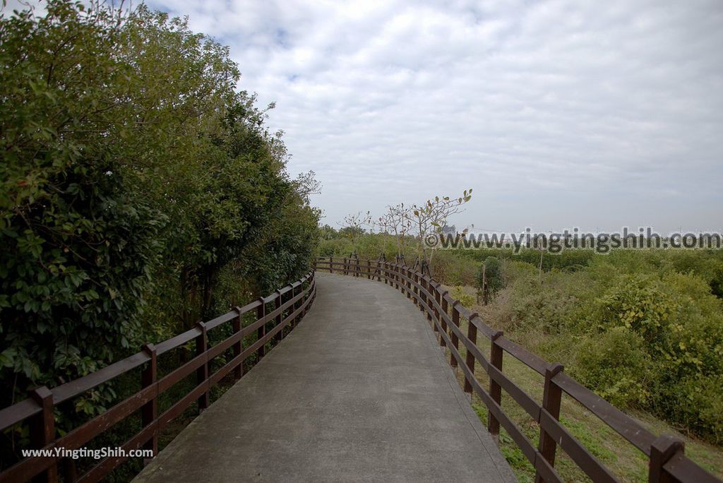 YTS_YTS_20180209_屏東林邊崎峰濕地／崎峰社區活動中心Pingtung Linbian Qifeng Wetlands094_3A5A9214.jpg