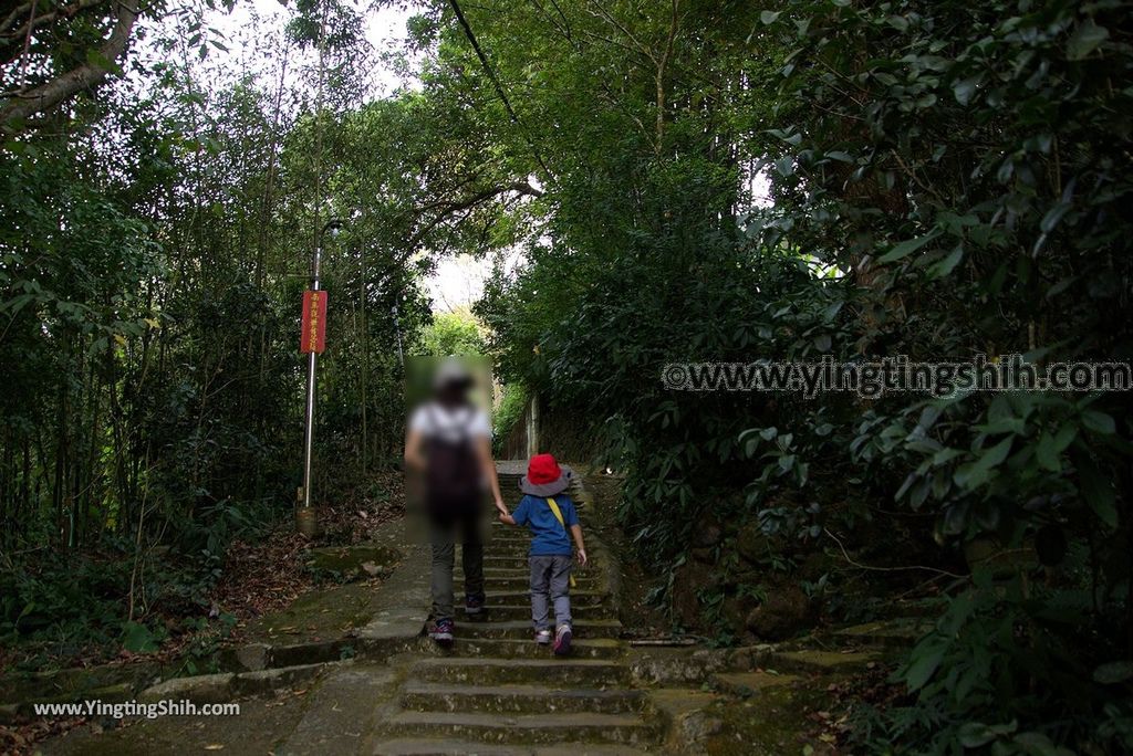 YTS_YTS_20181021_苗栗大湖法雲禪寺／台灣佛教四大道場、四大名山、四大法脈之一Miaoli Dahu Fayun Temple016_3A5A8462.jpg