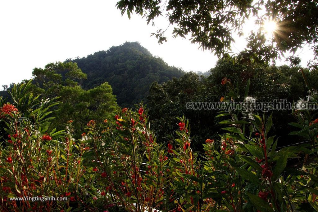 YTS_YTS_20181021_苗栗大湖法雲禪寺／台灣佛教四大道場、四大名山、四大法脈之一Miaoli Dahu Fayun Temple047_3A5A8811.jpg