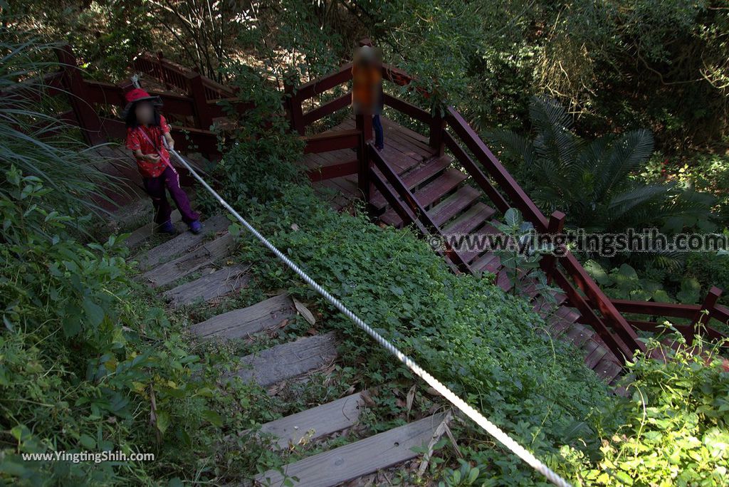 YTS_YTS_20181027_彰化市區龍鳳谷／三清宮森林步道／歡喜生態園Changhua City Longfenggu Forest Trail085_3A5A0207.jpg