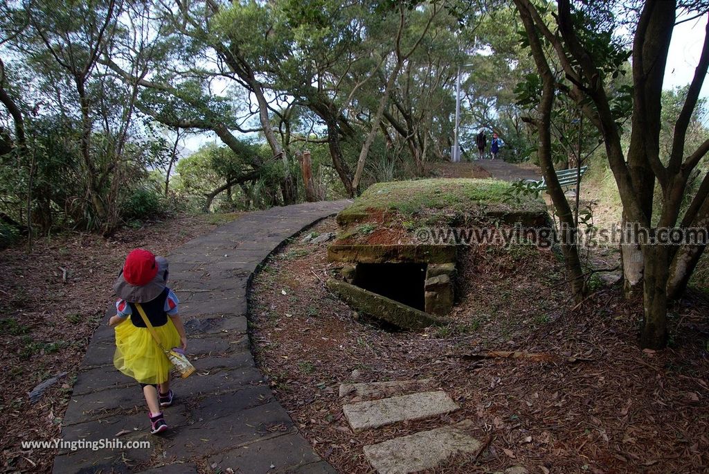 YTS_YTS_20181104_新北林口太平濱海步道New Taipei Linkou Taiping Coastal Trail025_3A5A0671.jpg