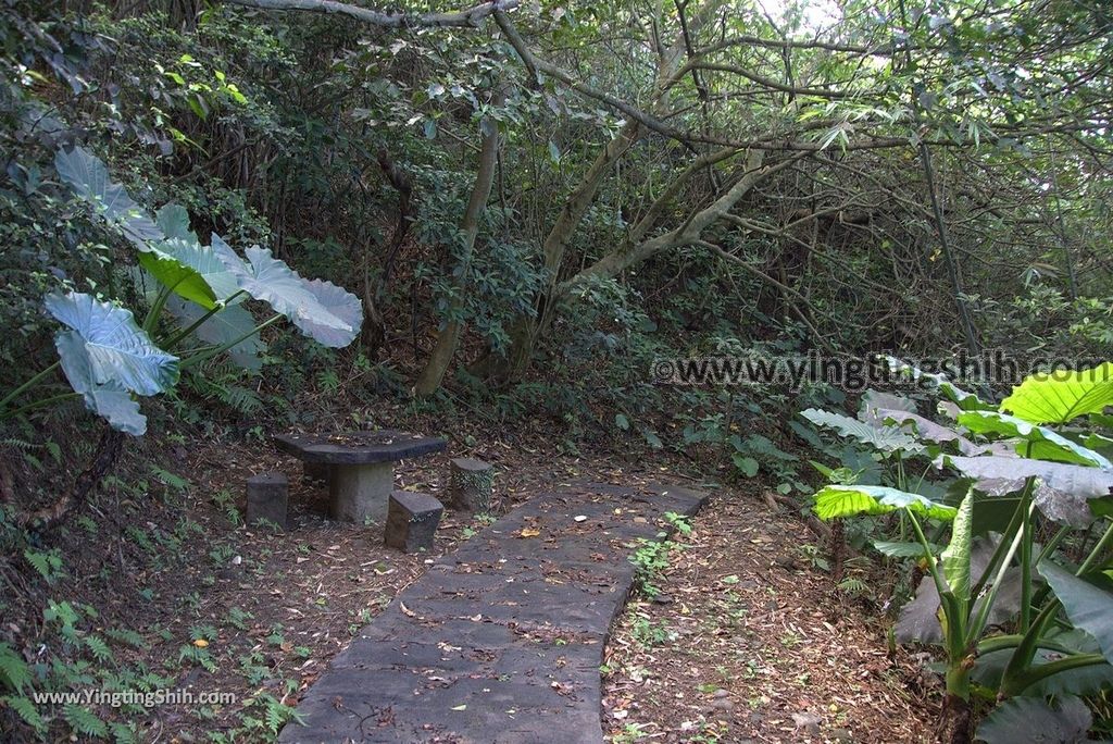 YTS_YTS_20181104_新北林口太平濱海步道New Taipei Linkou Taiping Coastal Trail058_3A5A1078.jpg