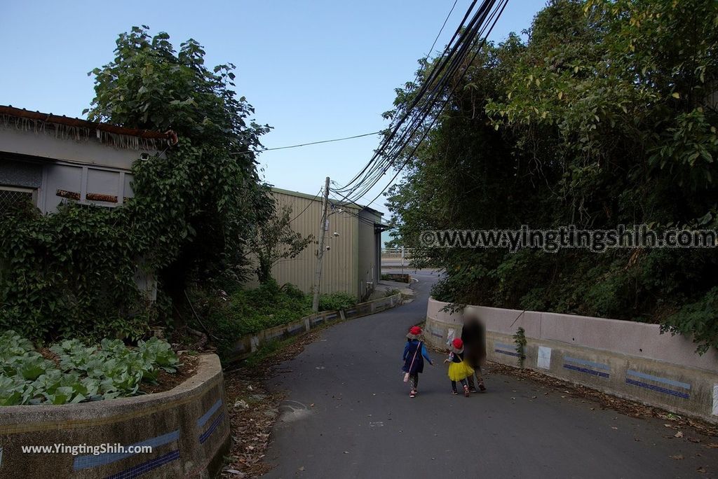 YTS_YTS_20181104_新北林口太平濱海步道New Taipei Linkou Taiping Coastal Trail078_3A5A1188.jpg