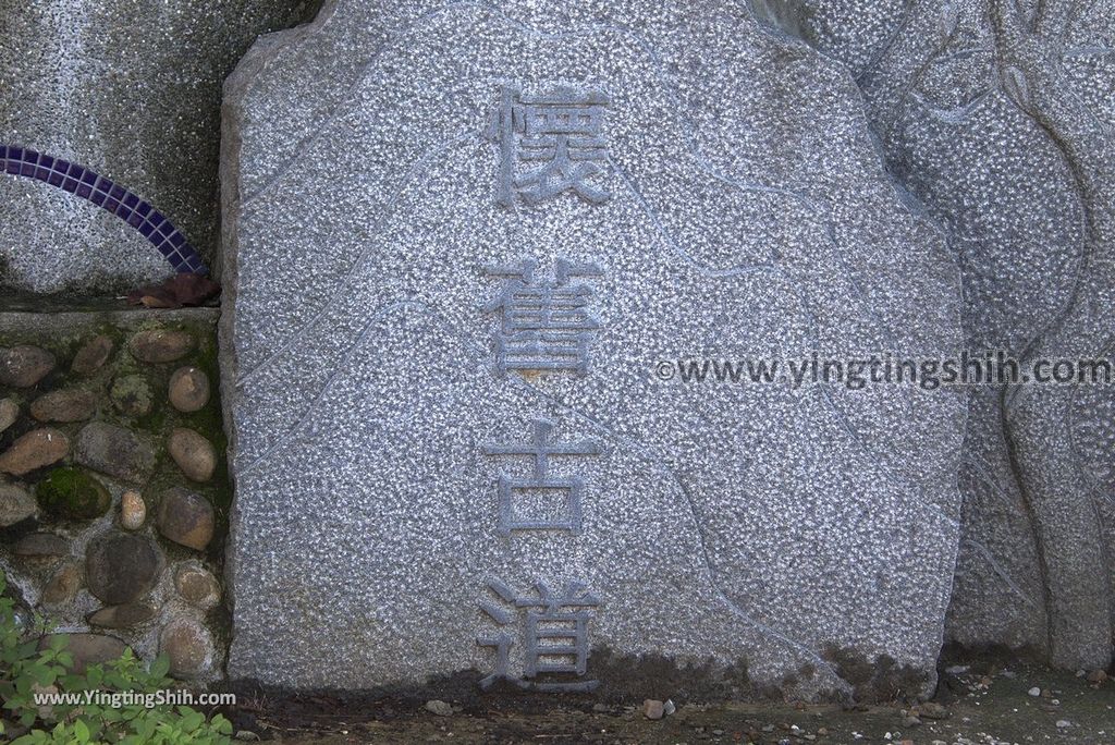 YTS_YTS_20181104_新北林口太平濱海步道New Taipei Linkou Taiping Coastal Trail085_3A5A1230.jpg