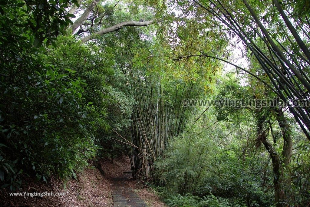 YTS_YTS_20181104_新北林口太平濱海步道New Taipei Linkou Taiping Coastal Trail088_3A5A1443.jpg