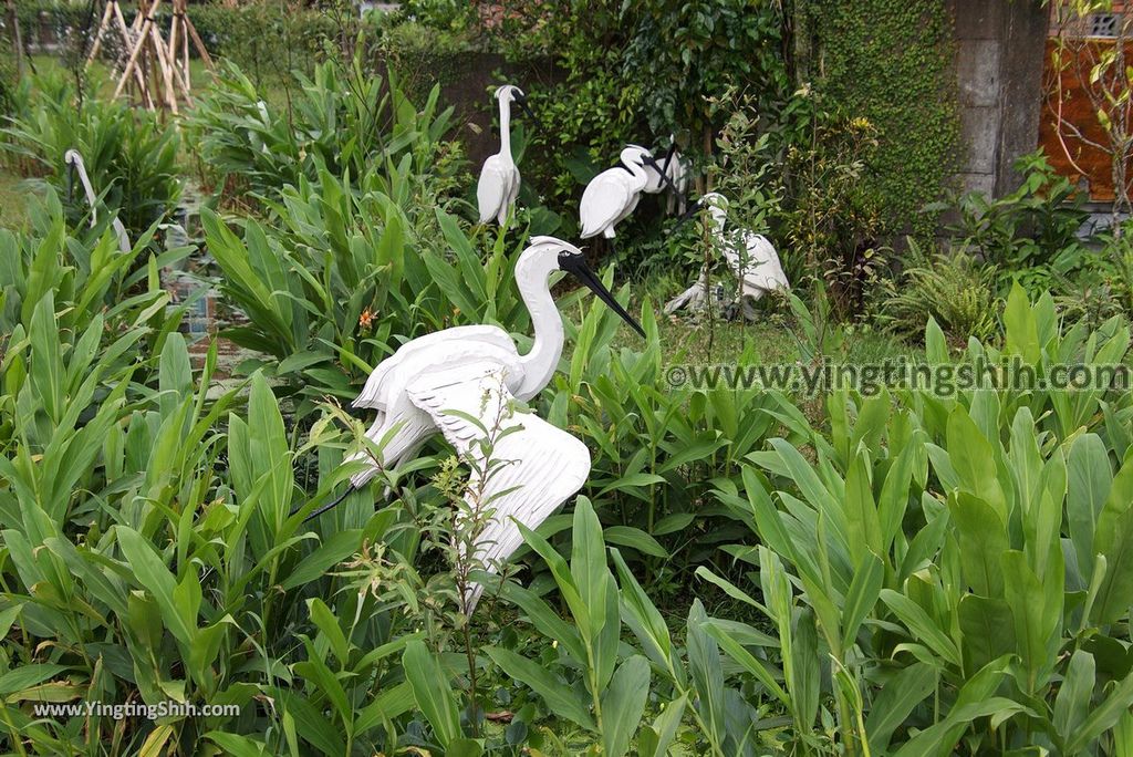 YTS_YTS_20180324_宜蘭市區變龍生態園區Yilan City Benlong Eco Park027_3A5A7164.jpg