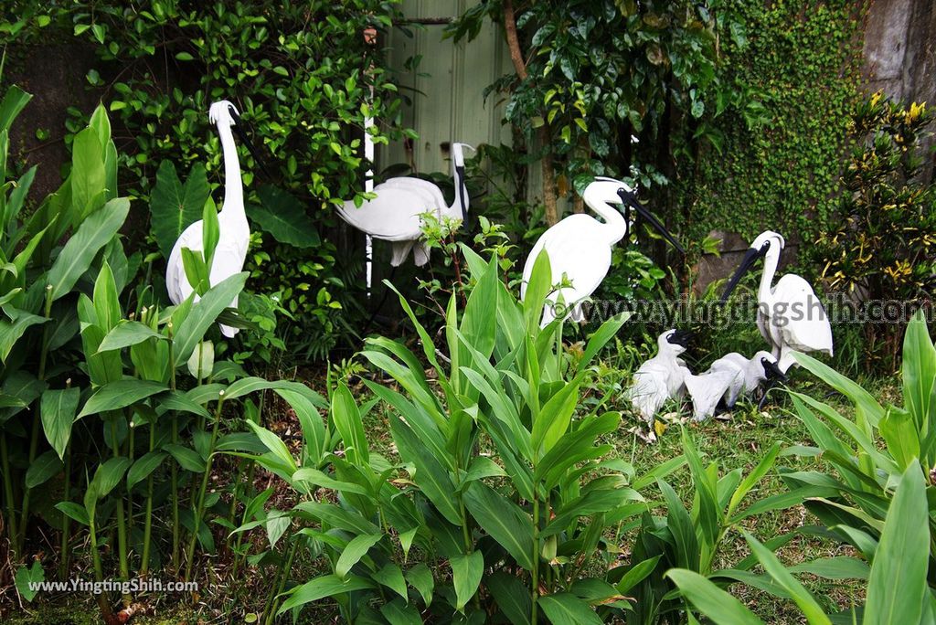 YTS_YTS_20180324_宜蘭市區變龍生態園區Yilan City Benlong Eco Park028_3A5A7167.jpg