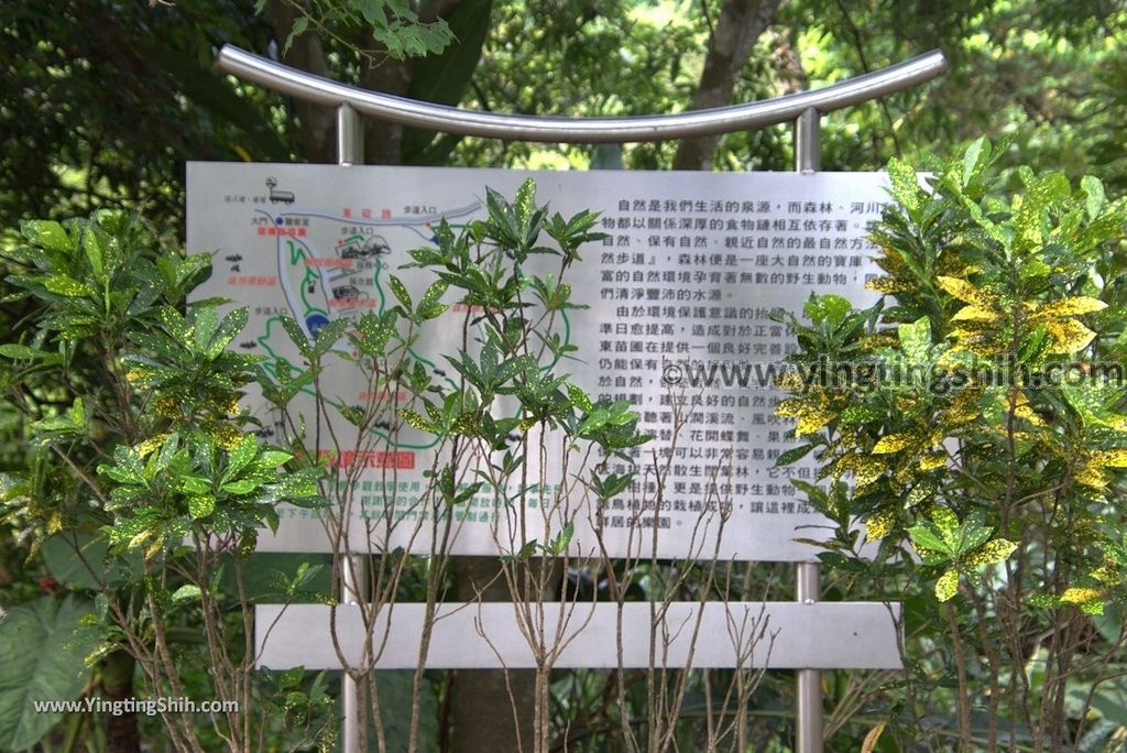 YTS_YTS_20180630_基隆暖暖暖東苗圃／暖暖運動公園Keelung Nuannuan Nuan Dong Plant Nursery／Sports Park005_3A5A7447.jpg