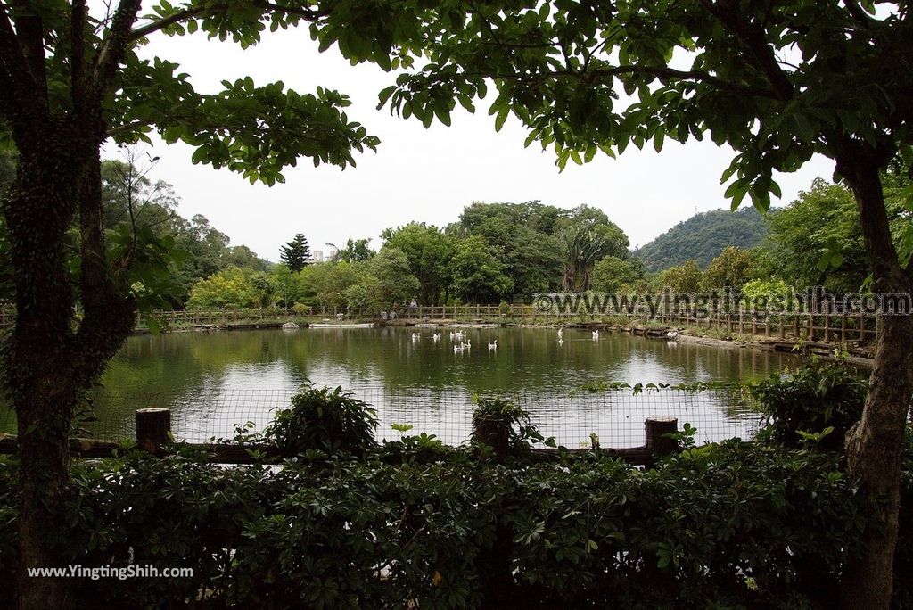 YTS_YTS_20180630_基隆暖暖暖東苗圃／暖暖運動公園Keelung Nuannuan Nuan Dong Plant Nursery／Sports Park014_3A5A6581.jpg