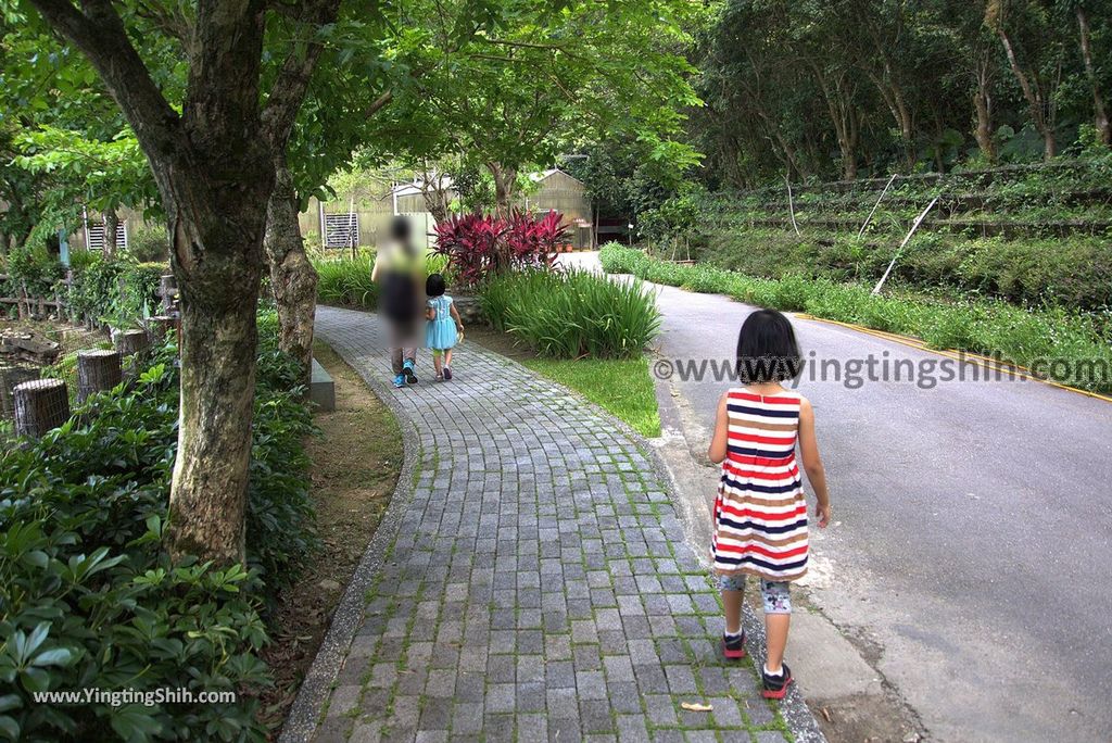 YTS_YTS_20180630_基隆暖暖暖東苗圃／暖暖運動公園Keelung Nuannuan Nuan Dong Plant Nursery／Sports Park013_3A5A6537.jpg