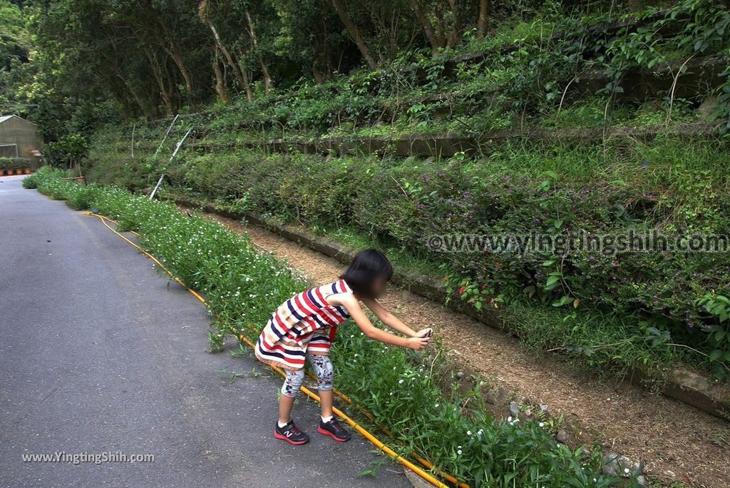 YTS_YTS_20180630_基隆暖暖暖東苗圃／暖暖運動公園Keelung Nuannuan Nuan Dong Plant Nursery／Sports Park015_3A5A7427.jpg